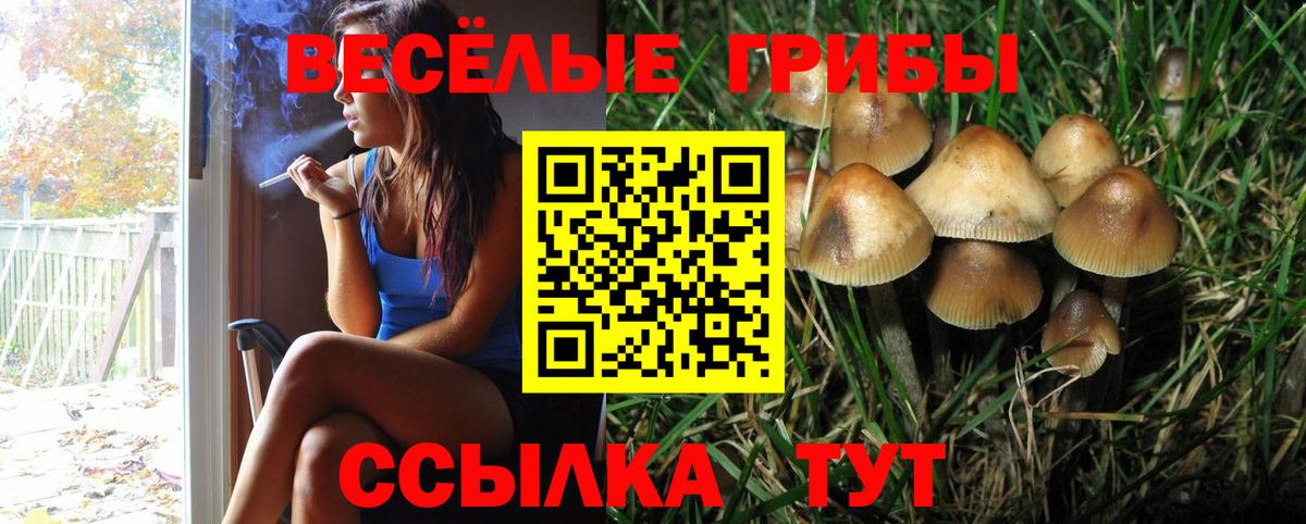 Галлюциногенные грибы ЛСД  Галлюциногенные грибы Psilocybe  что такое   Вход с VPN  Заводоуковск 